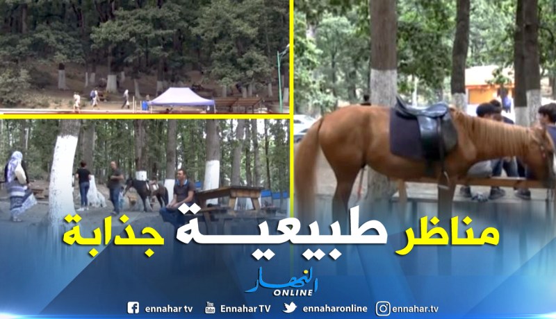 بالفيديو ..غابة ايعكوران بتيزي وزو وجهة سياحية بامتياز