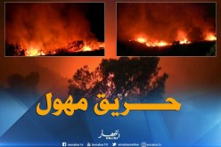 مستغانم: حريق غابة يأتي على هكتارين من أشجار الكاليتوس والصنوبر