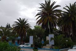 بسبب تدهور الوضع الوبائي.. مستشفى العلمة يمنع زيارات المرضى