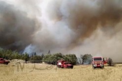 خنشلة: نشوب حريق مهول في غابة عين ميمون بلدية طامزة