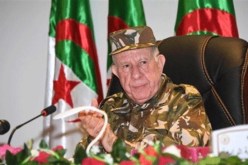 الفريق شنقريحة يشرف على تمرين القفز المظلي بالقاعدة الجوية لعين وسارة