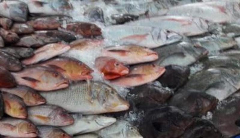 الدرك يحجز قناطير من رؤوس أغنام وأسماك مجمدة