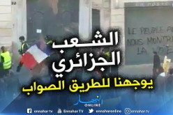شاهد : أصحاب السترات الصفراء يدعون للإقتداء بمسيرة الجزائريين
