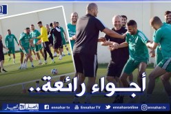 بالصور.. أجواء رائعة بين محرز وبلماضي في تدريبات المُنتخب الوطني