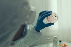 تعتبر أكثر قابلية للعدوى وتخترق جدار مناعة الجسم.. تعرف على سلالة كورونا النيجيرية