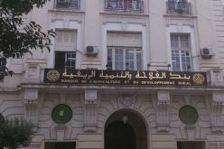 وزير الفلاحة يدعو بنك “BADR” لرفع العراقيل عن تمويل الفلاحين