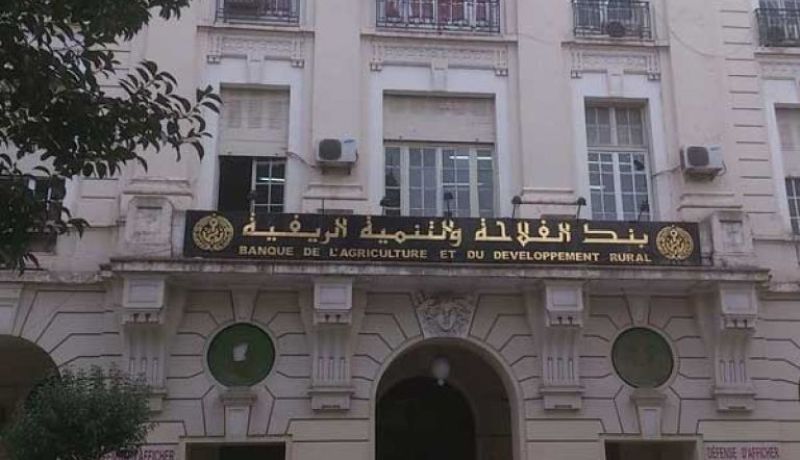 وزير الفلاحة يدعو بنك “BADR” لرفع العراقيل عن تمويل الفلاحين