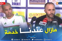 بلماضي:”أنا راض ومازلنا في مرحلة بناء المنتخب”