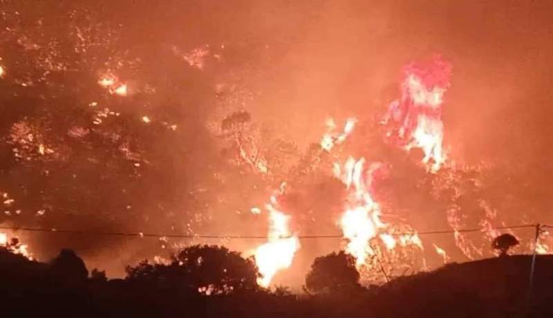 حرائق غابة قوراية: إيداع 17 متهما الحبس وإصدار أوامر بالقبض في حق ستة آخرين