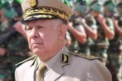 الفريق شنقريحة : الإستفتاء على تعديل الدستور يستحق من أفراد الجيش أن يكونوا في مستوى المسؤولية