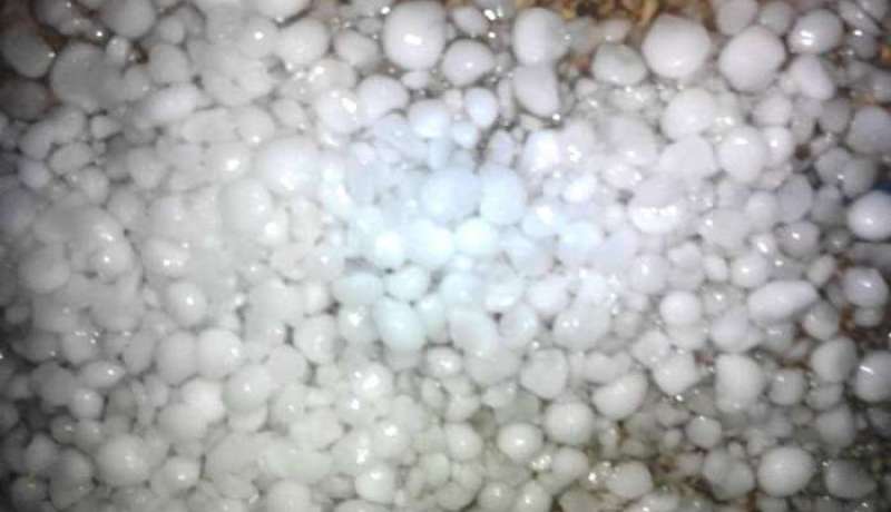 إتلاف أكثر من 1000 شجرة تفاح بسبب تساقط البرد ببلدية كيمل في باتنة