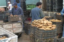 التجار يطالبون الحكومة بمخطّط وطني للقضاء على المضاربة في الأسعار والتخزين