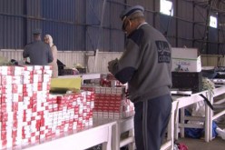 إحباط تهريب 100 خرطوشة سجائر بميناء مستغانم