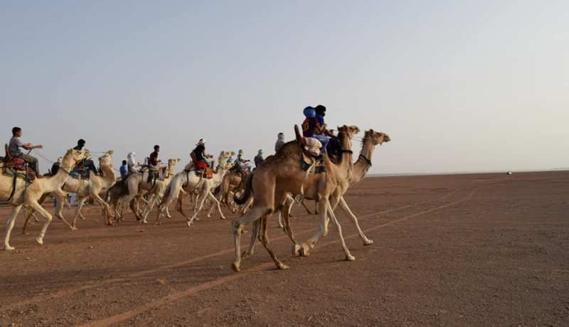 ورقلة: تسليم السيف الذهبي والجوائز المالية للفائزين بسباق المهاري