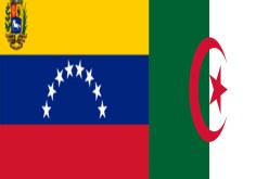 وزيرة العلاقات الخارجية ووزير النفط الفنزويليين في زيارة الى الجزائر يوم السبت