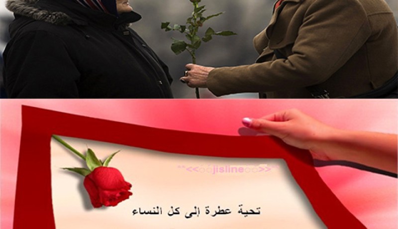 عيد سعيد لكل الأمهات ونساء العالم والمسلمات