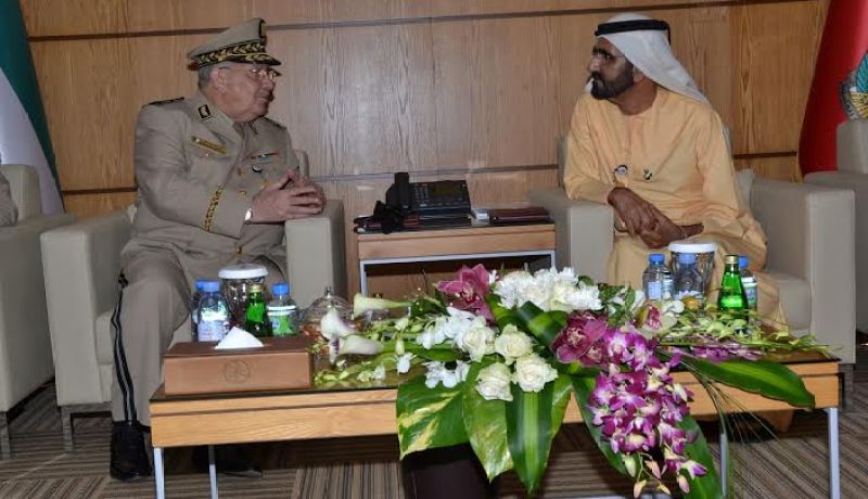 قايد صالح يبلغ تحيات رئيس الجمهورية للشيخ محمد بن راشد آل مكتوم