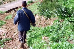 استشهاد حارس بلدي‮ ‬في‮ ‬إنفجار قنبلتين في‮ ‬زيامة منصورية بجيجل‮ ‬