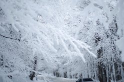 عاصفة ثلجية تجتاح أمريكا