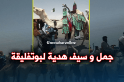 سكان تمنراست يهدون بوتفليقة جمل وسيف