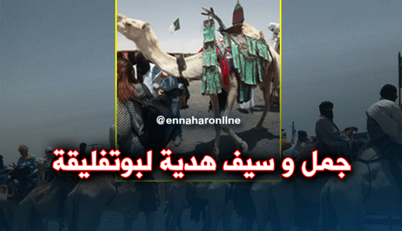 سكان تمنراست يهدون بوتفليقة جمل وسيف