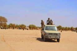 توقيف 7 مروجي مخدرات و7 مهربين في الجنوب الجزائري