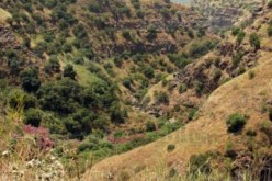 فصيل سياسي سوري يعلن فتح باب التطوع لتحرير الجولان