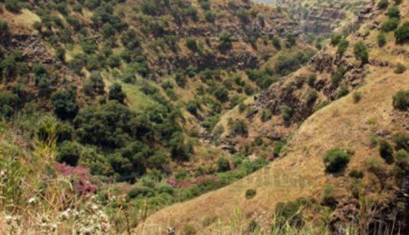 فصيل سياسي سوري يعلن فتح باب التطوع لتحرير الجولان