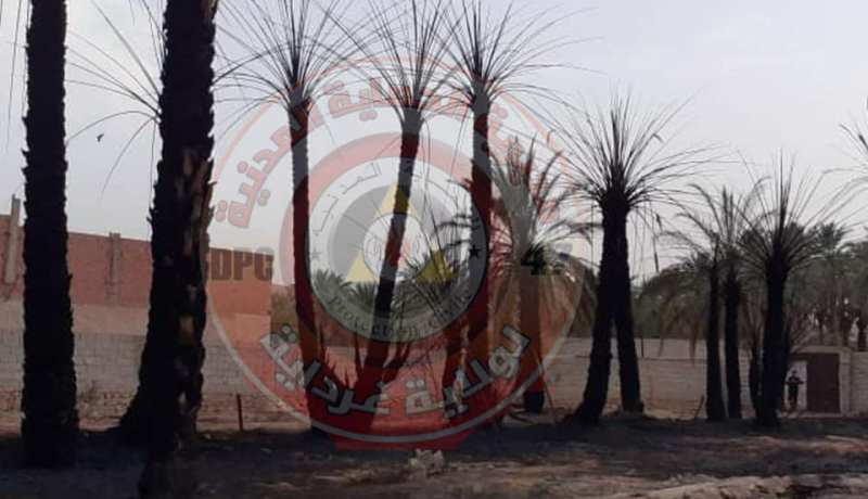 غرداية..حريق يتلف 44 نخلة ببلدية العطف