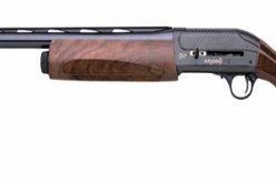 شاب‮ ‬يقتل شيخا بطلقات نارية ويدهسه بشاحنة بسبب خلاف على أرض بور