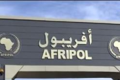 مسؤولو الشرطة الأفارقة يبعثون برسالة شكر للرئيس بوتفليقة على استضافة الجزائر لمقر الأفريبول