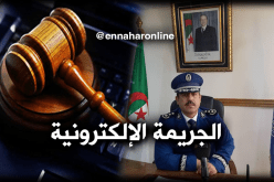 معالجة 220 قضية تتعلّق بالجريمة الإلكترونية خلال سنة واحدة بتبسة