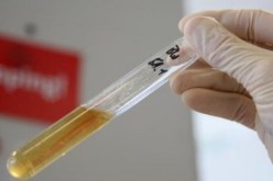 إخضاع  كل المباريات لمراقبة تناول المنشطات ابتداء من الجولة القادمة