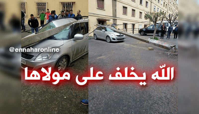 بالصور .. سقوط عمود كهربائي على سيارة في القبة