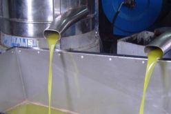 إنجاز مشروع أول معصرة لزيت الزيتون بالبيض