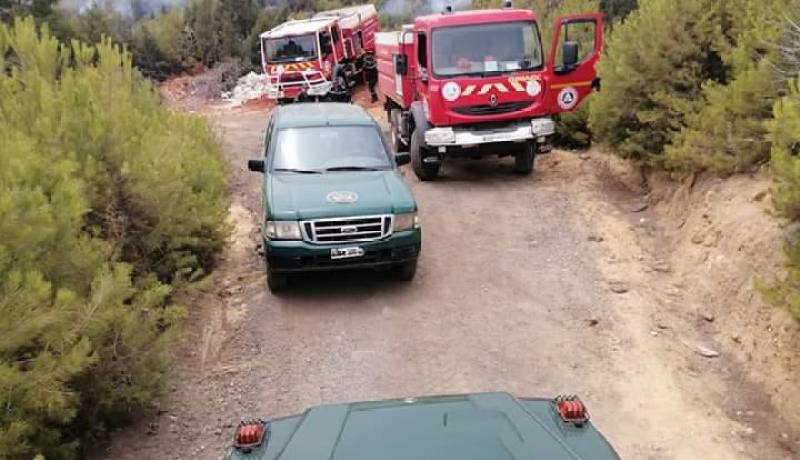 تيبازة.. إخماد حريق غابة جبل شنوة
