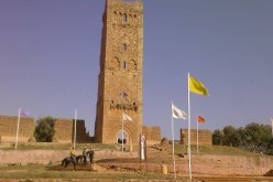 مقتل شيخ بصعقة كهربائية بالفحول في تلمسان