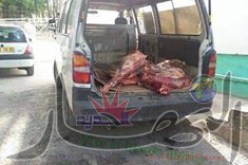 سيارة إسعاف بمستشفى بني مسوس تتحول من نقل المرضى إلى نقل اللحم