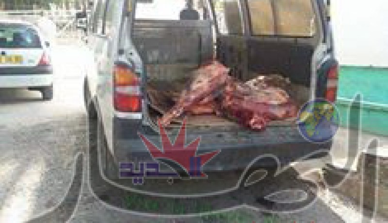 سيارة إسعاف بمستشفى بني مسوس تتحول من نقل المرضى إلى نقل اللحم