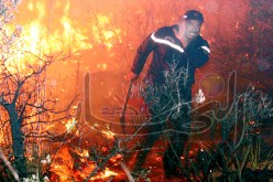 النيران تحاصر عائلات لأكثر من 10 ساعات وتلتهم 41 هكتارا في البليدة