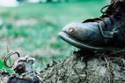 تدمير أكثر من 3.400 لغم يعود إلى الحقبة الإستعمارية خلال شهر نوفمبر 2014