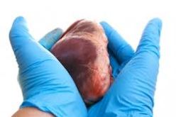 50 بالمائة من الجزائريين مستعدون للتبرع بأعضائهم