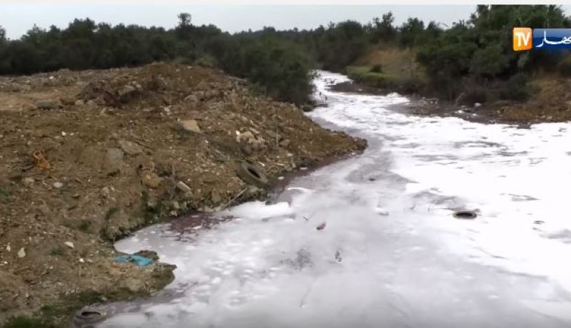 بالفيديو.. مواد كيميائية تلوث شواطئ عين طاية بالعاصمة