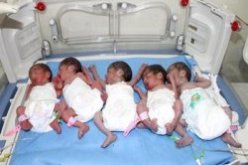 امرأة في الثلاثينيات تلد 5 توائم عبر ولادة طبيعية في باتنة و الاب بطال