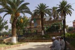 إستحداث 1.500 منصب عمل ضمن جهاز الوكالة الوطنية لدعم تشغيل الشباب في السعيدة