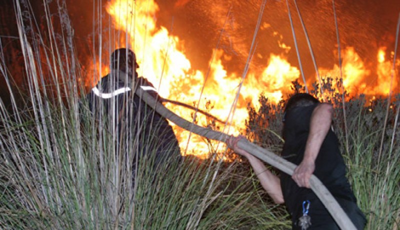 الحرائق تتلف مساحة نباتية من 10 هكتارات خلال يوم واحد ببوعيشون بالمدية