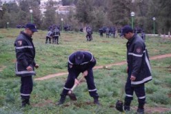 حملة لغرس 10 آلاف شجيرة بمناسبة اليوم العالمي للحماية المدنية بمعسكر