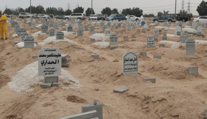 العثور على مقبرة جماعية لأطفال ضحايا الإجهاض في سكيكدة!