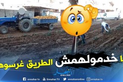 بالصور .. سكان بغلية ببومرداس يحتجون بحرث الشوارع وغرسها