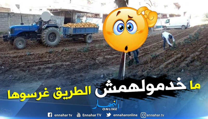 بالصور .. سكان بغلية ببومرداس يحتجون بحرث الشوارع وغرسها